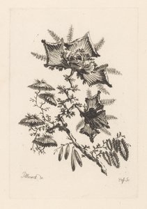 Leijan muotoiset kukat Fleures Baroque (sarjan nimi)