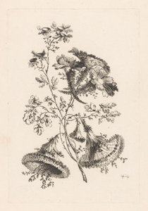 Kolmion muotoiset kukat Fleures Baroque (sarjan nimi)