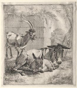 Vuohi ja aasit tekijältä Johann Heinrich Roos