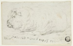 Lammas makaa alas tekijältä Johann Heinrich Roos