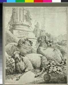  tekijältä Johann Heinrich Roos