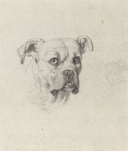 Nyrkkeilijä tekijältä Johann Heinrich Wilhelm Tischbein