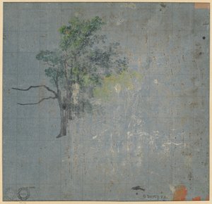 Puututkimukset (käänteinen) tekijältä Johann Jacob Dorner