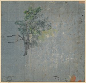 Tree Studies, 1800-luvun ensimmäinen puolisko. tekijältä Johann Jacob Dorner