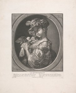 Kyyhkynen tekijältä Johann Jacobus Haid