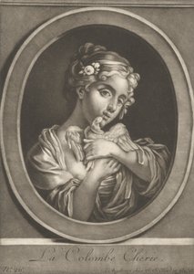 Rakas kyyhkynen tekijältä Johann Jacobus Haid