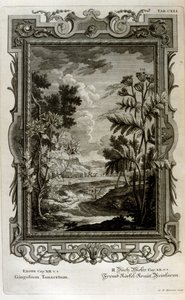 Kuva tekijältä Johann Jakob Scheuchzer