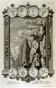 Zeus symboloi kotka