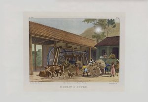 Sokerimylly. Kuvankauniista matkoista Brasiliassa, 1830-1835.