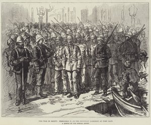 Egyptin sota, Egyptin varuskunnan vangit Port Saidissa tekijältä Johann Nepomuk Schonberg