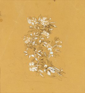 Blumenbouquet tekijältä Johann Peter Krafft