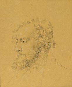 Päätutkimus parrakkaasta miehestä tekijältä Johann Peter Krafft