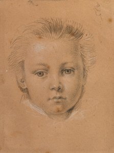 Pojan päätutkimus tekijältä Johann Peter Krafft