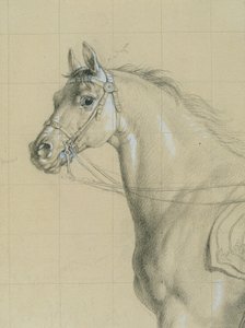 Hevostutkimus "Arkkiherttua Karl sauvansa kanssa Aspernin taistelussa" tekijältä Johann Peter Krafft