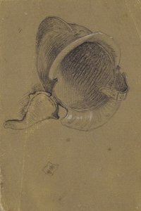 Kypärän tutkimus tekijältä Johann Peter Krafft