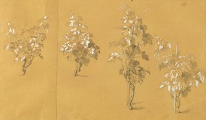 Weinstock, tutkimus "Hermann ja Dorothea viinitarhassa" tekijältä Johann Peter Krafft