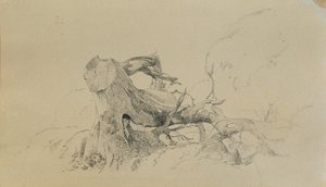 Juurijärjestelmä, kaatunut puu tekijältä Johann Peter Krafft