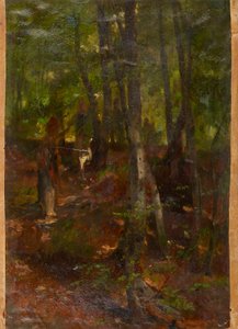metsäinen maisema
