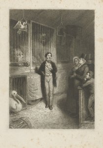 Eläinten katselu tekijältä Johann Wilhelm Kaiser (I)