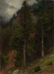 Rinne kuusimetsässä tekijältä Johann Wilhelm Schirmer