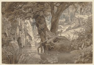 Metsämaisema tekijältä Johann Wilhelm Schirmer