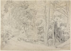 Pyökkimetsässä tekijältä Johann Wilhelm Schirmer