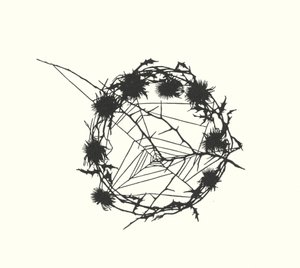 Johanna Beckmannin siluetti (litografia)
