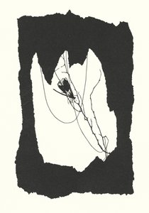Johanna Beckmannin siluetti (litografia)