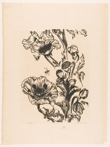 Studie papavers (alkuperäinen nimi esineessä) tekijältä Johannes Frederik Engelbert ten Klooster (signed by artist)