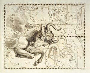 Härkä, Härän tähdistö, kaiverrus taivaan atlassta Firmamentum Sobiescianum sive Uronographia, Johann Hevelius (1611-1687), Gdansk