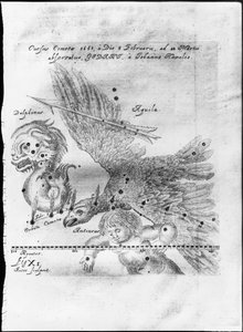 Johannes Hevelius löysi ja havaitsi komeetan 3. helmikuuta - 28. maaliskuuta 1661 Gdanskissa