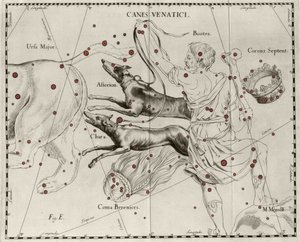 Tähdistö Canes Venatici, metsästyskoirat. Levy piirretty Johannes Heveliuksen tai Hevelin (1611-1687) "Firmamentum Sobiescanum sive Uranographia" -julkaisusta tekijältä Johannes Hevelius
