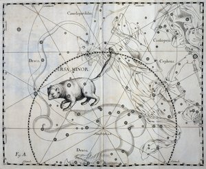 Ursa Minor, Boreaalinen Pienjärven tähdistö, kaiverrus taivaan atlassta Firmamentum Sobiescianum sive Uronographia, kirjoittanut Johann Hevelius (1611-1687), Gdansk tekijältä Johannes Hevelius