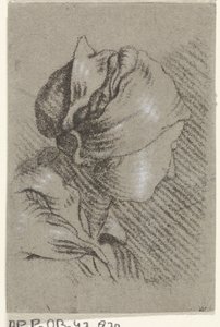 naisen rintakuva tekijältä Johannes Janson (possibly)