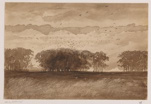 Rookery Pohjois-Brabantissa