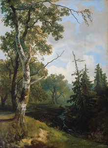Metsänäkymä lähellä Wolfhezea. tekijältä Johannes Warnardus Bilders