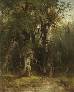 Näkymä metsässä