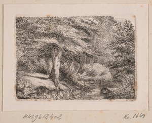 Metsäalue tekijältä Johannes Wilhelm Zillen