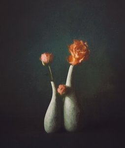 Moody Rose -maljakot