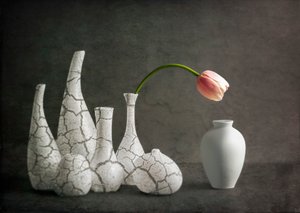 Vaaleanpunaiset tulppaanimaljakot, joissa on halkeamia