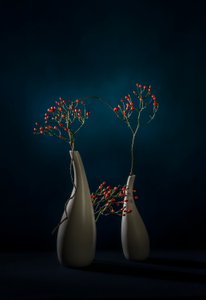 Red Berries -modernit maljakot