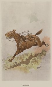 Riderless (väri litho)