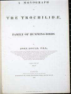 Etukuva (käsin väritetty litografia). tekijältä John (after) Gould