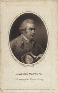 Sir Joseph Banks, englantilainen luonnontieteilijä, kasvitieteilijä ja Royal Societyn presidentti (kaiverrus) tekijältä John (after) Russell