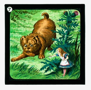 Liisa Ihmemaassa, värilliset lyhtydiat (lyhtyliukumäki) tekijältä John (after) Tenniel