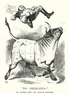 Punch sarjakuva: Bos Americanus; tai Yankee Beef ja British Butcher – odotetut hyödyt amerikkalaisen lihan tuomisesta kuluttajille (kaiverrus) tekijältä John (after) Tenniel