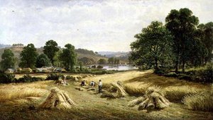 Kultaisen viljan kerääminen lähellä Bishopsteigntonia, Plymouth tekijältä John Barrett