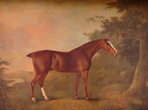 "A Dark Chestnut", 1788