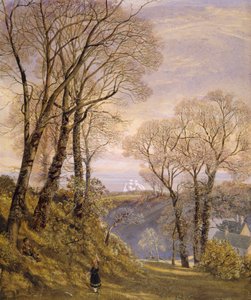 helmikuuta Wightin saarella, 1866 tekijältä John Brett