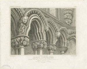 Lichfieldin katedraalin sisätilat - kapitulihuoneen kaaret: kaiverrus, nd [n. 1819] (vedos) (kuva)